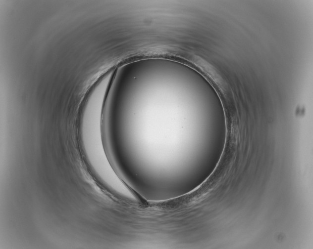 X0000091540485200709141458