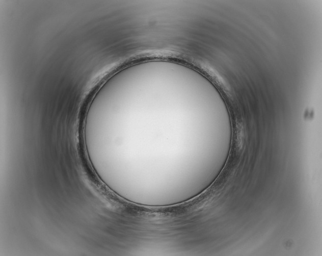 X0000091540486200709141458