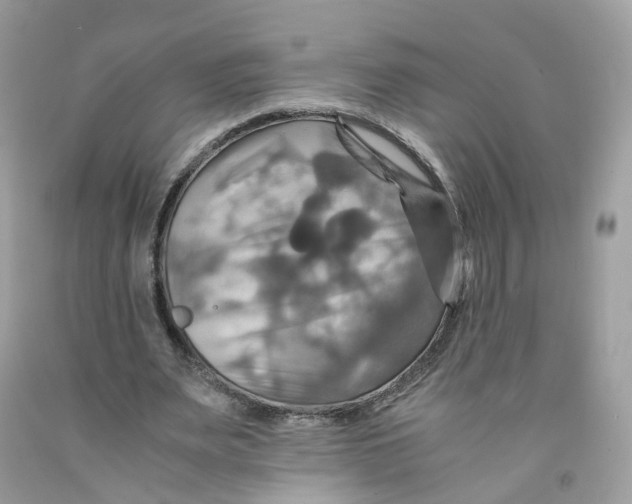 X0000091540487200709141458