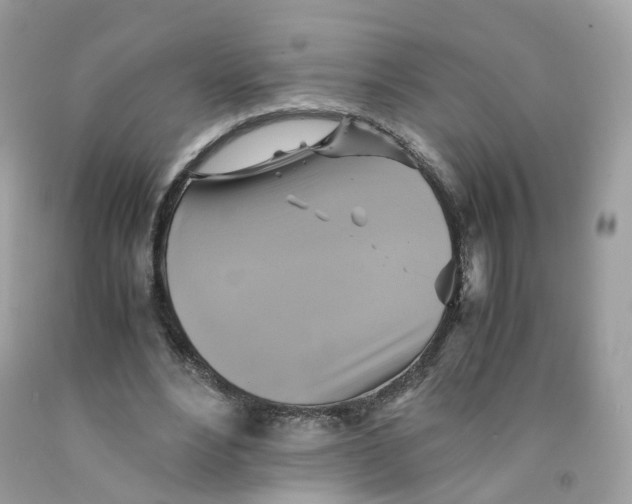 X0000091540488200709141458