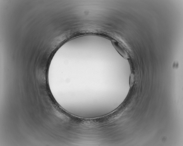 X0000091540489200709141458