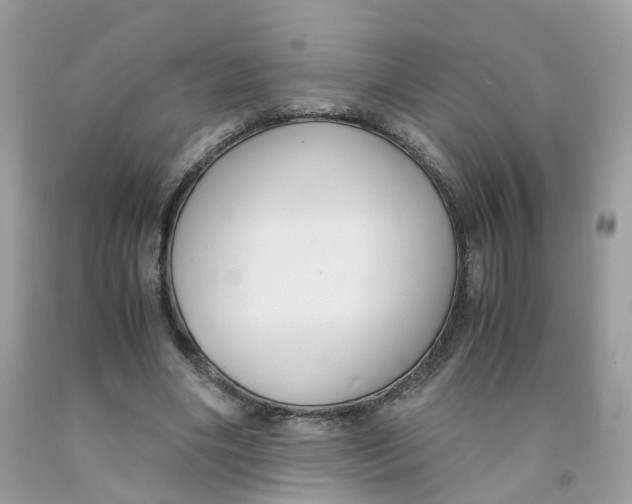 X0000091540490200709141458