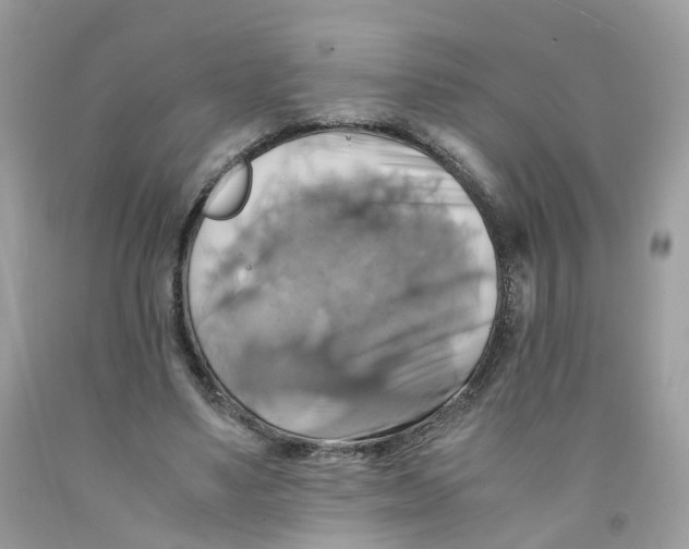 X0000091540491200709141458