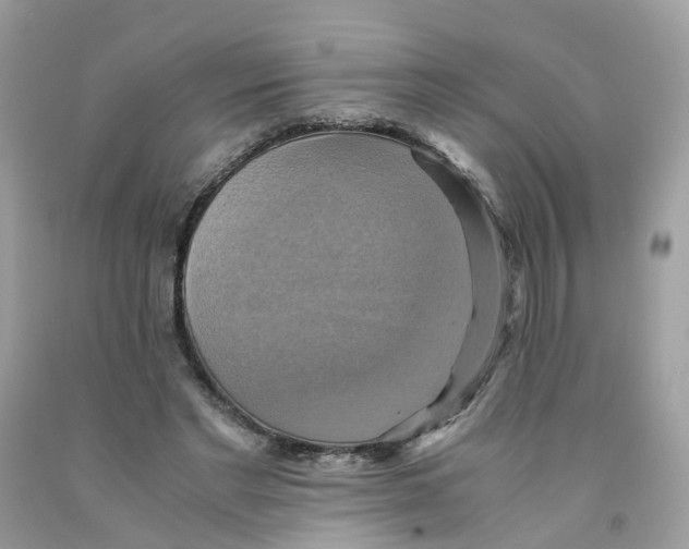 X0000091540493200709141458