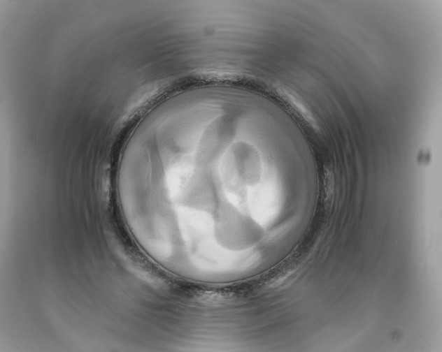 X0000091540494200709141458