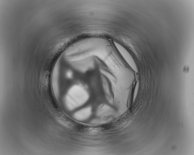 X0000091540495200709141458