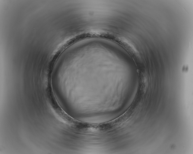 X0000091540496200709141458