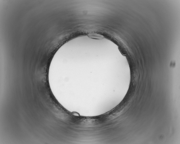 X0000091540497200709141458