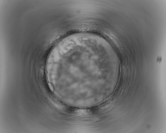 X0000091540499200709141458