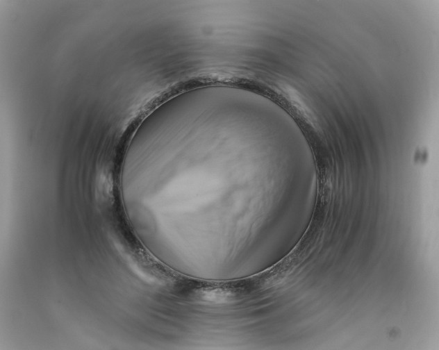 X0000091540500200709141458