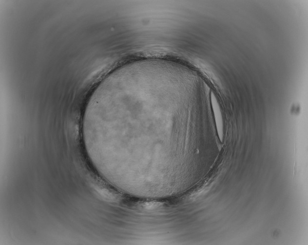 X0000091540501200709141458