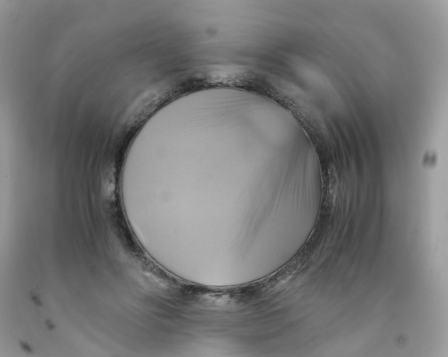 X0000091540502200709141458