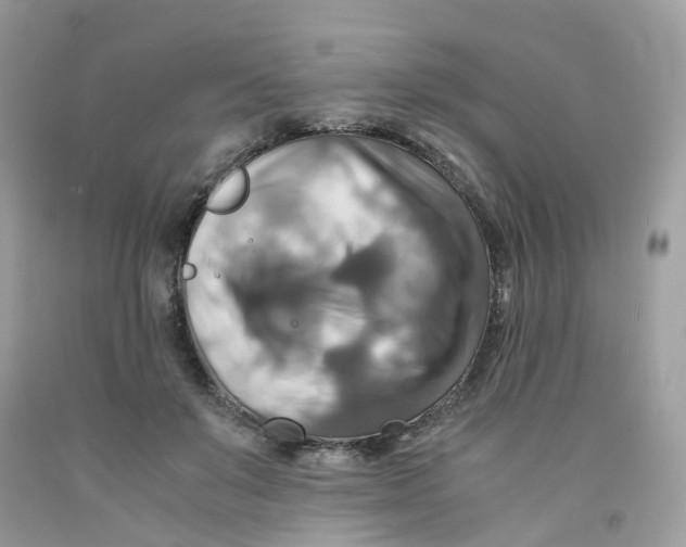 X0000091540503200709141458