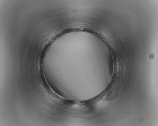 X0000091540504200709141458