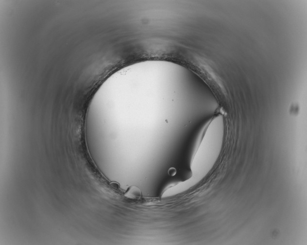 X0000091540505200709141458