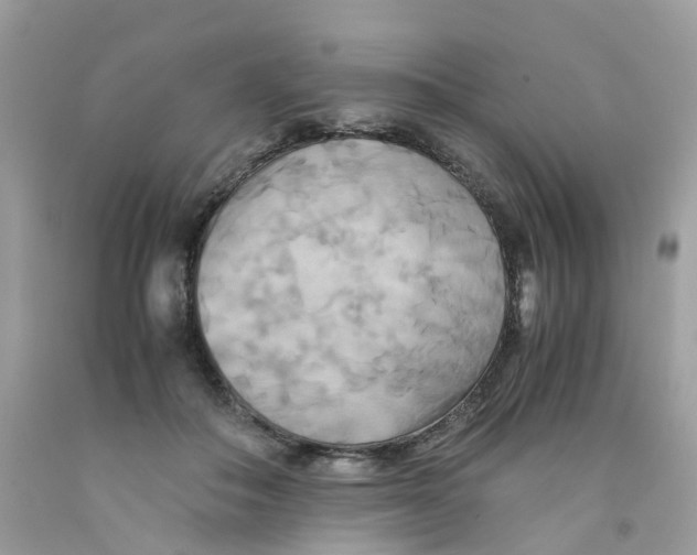 X0000091540506200709141458