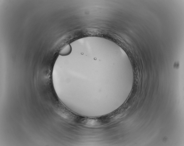 X0000091540507200709141458