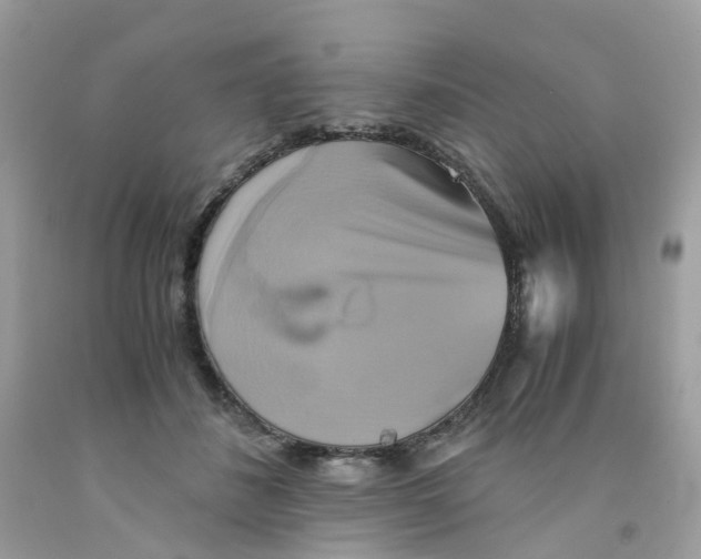 X0000091540508200709141458