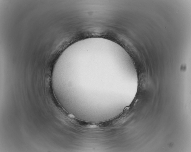 X0000091540509200709141458