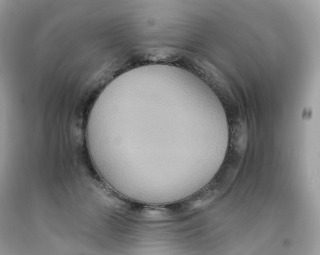 X0000091540510200709141458