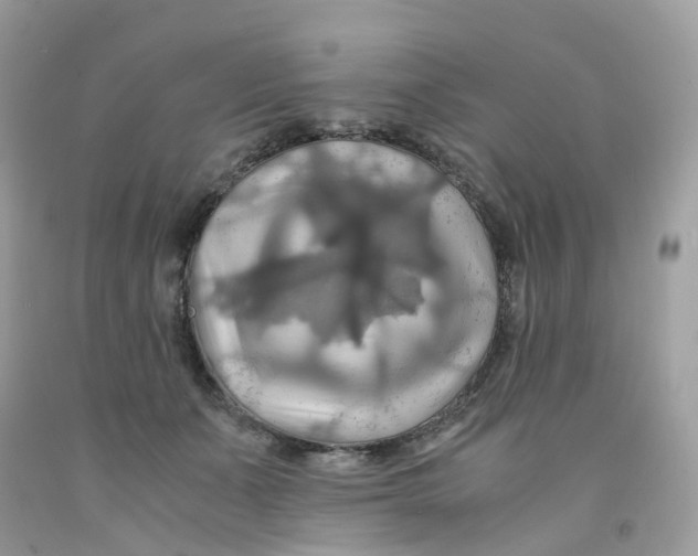 X0000091540511200709141458