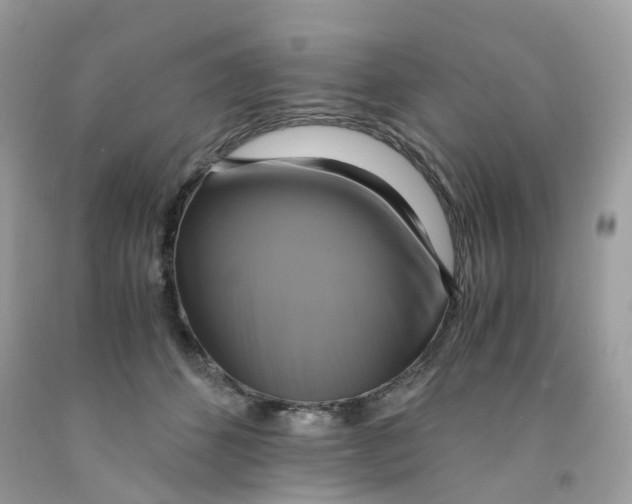 X0000091540512200709141458