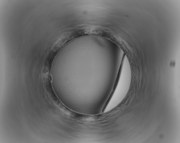 X0000091540513200709141458