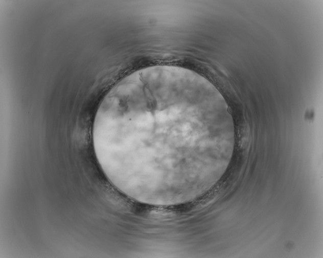 X0000091540515200709141458