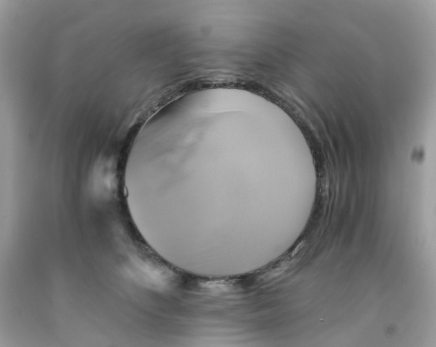 X0000091540516200709141458