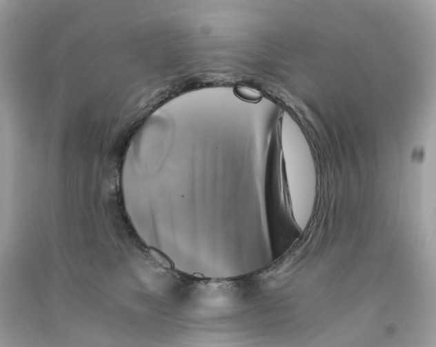 X0000091540517200709141458