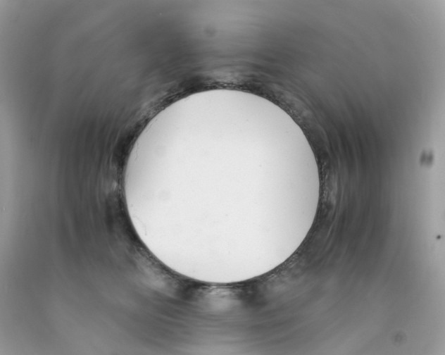 X0000091540518200709141458