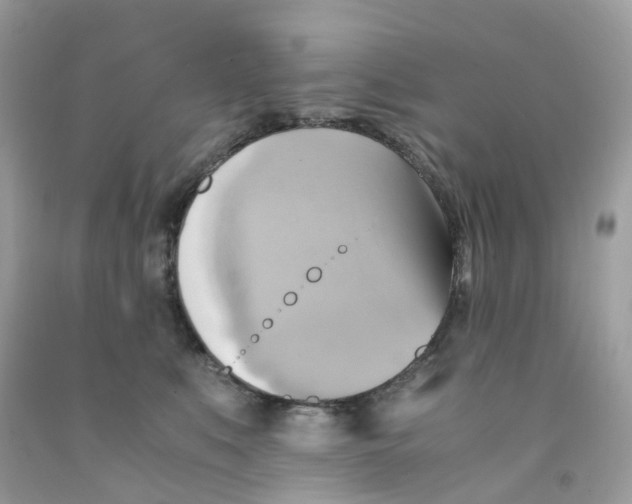 X0000091540519200709141458