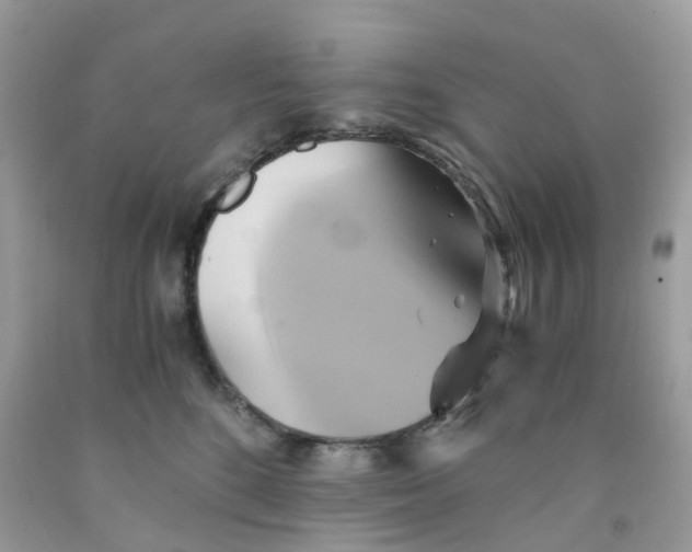 X0000091540520200709141458