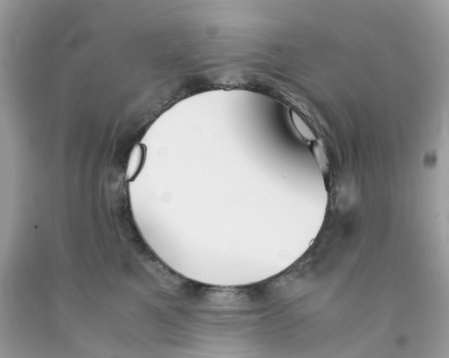 X0000091540521200709141458