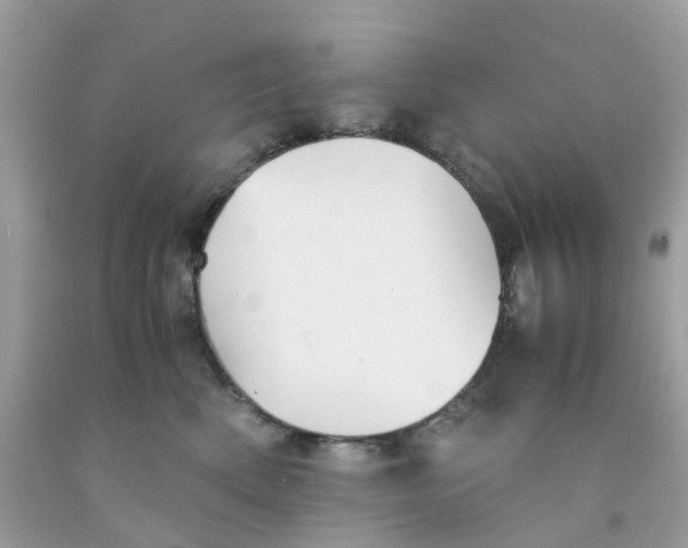 X0000091540522200709141458