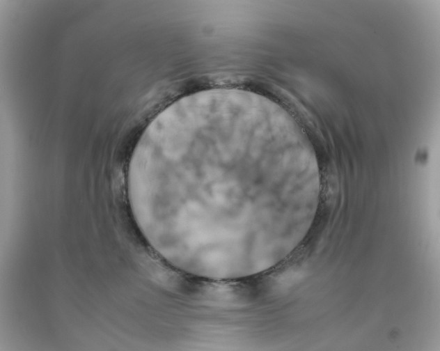 X0000091540523200709141458