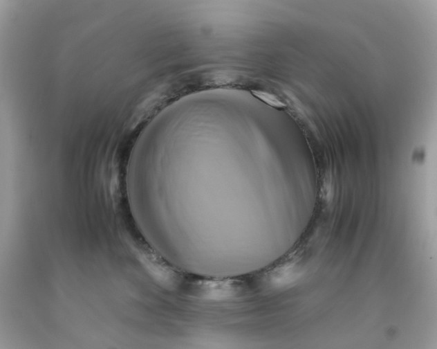 X0000091540524200709141458