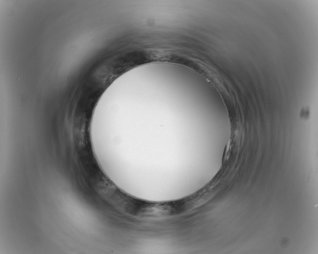 X0000091540525200709141458