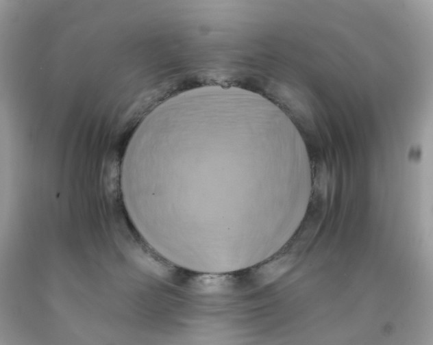 X0000091540526200709141458