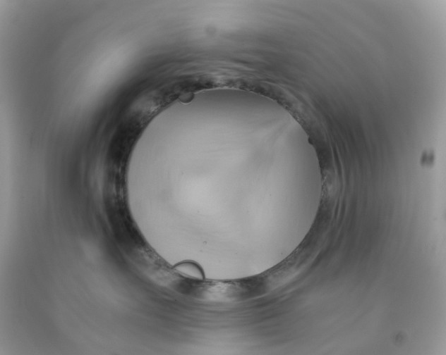 X0000091540527200709141458