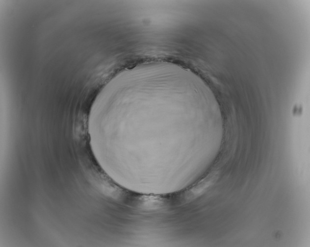 X0000091540528200709141458