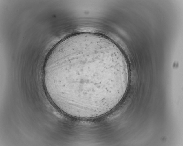 X0000091540529200709141457