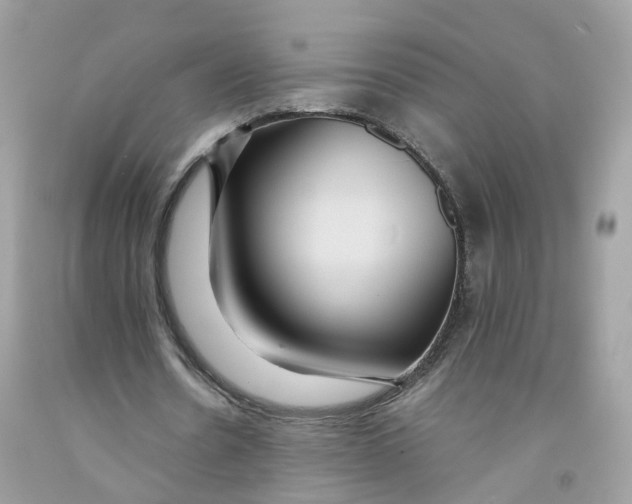 X0000091540530200709141457