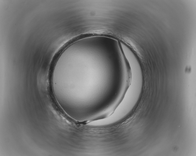 X0000091540532200709141457