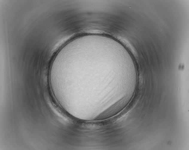 X0000091540533200709141457