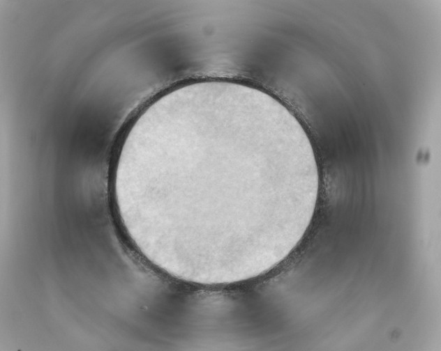 X0000091540534200709141457