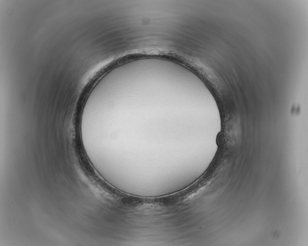 X0000091540536200709141457