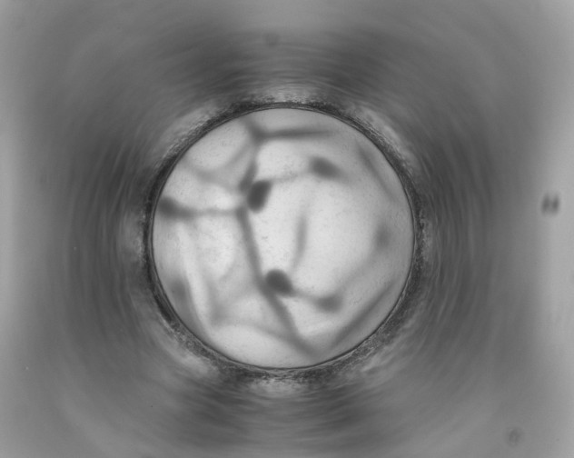 X0000091540537200709141457