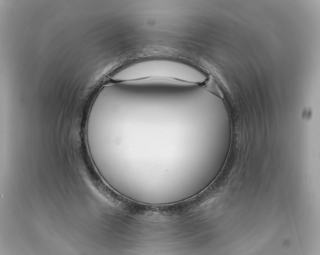 X0000091540538200709141457