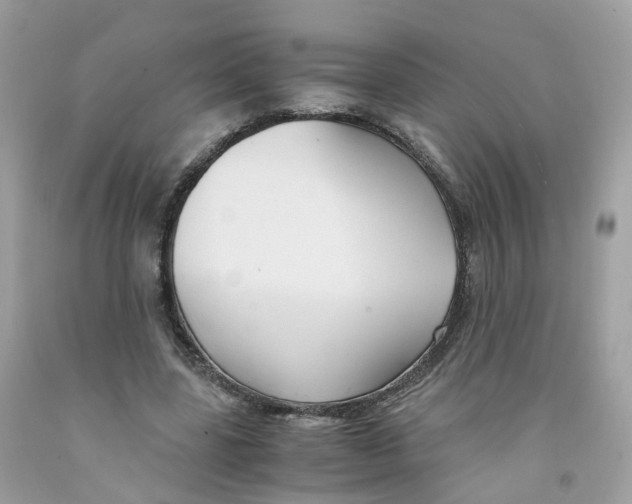 X0000091540539200709141457